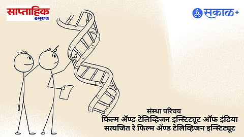 career in films and animation