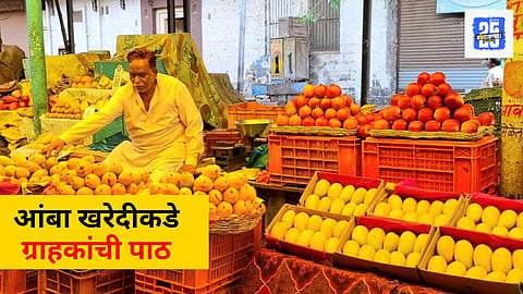 Mango Sale Falls due to Unseasonal Rain