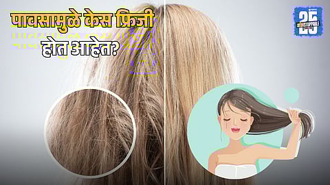 Home Remedies For Frizzy Hai
