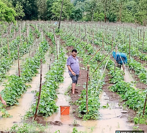 वीसगाव खोऱ्यात हिरावला हाता तोंडाशी आलेला घास