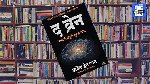 The Brain Book