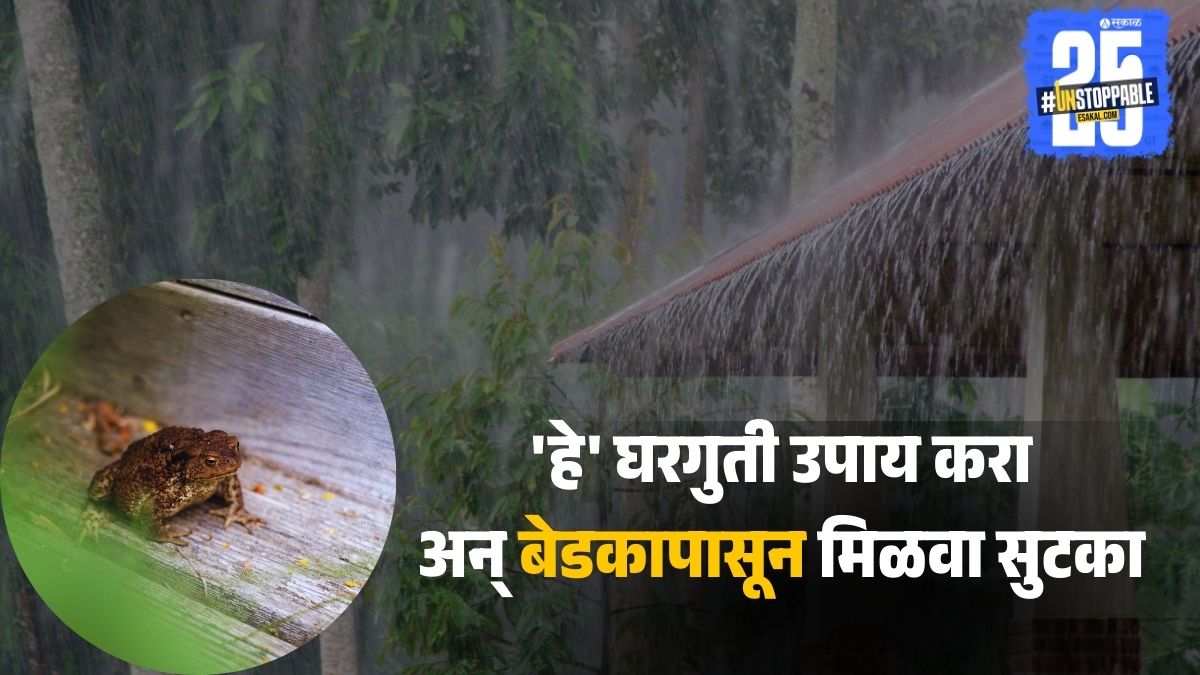 Best home remedies to keep frogs away 