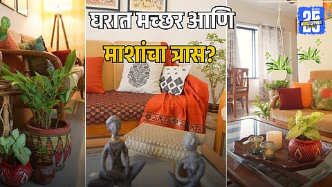 Plants To Repel Mosquitoes