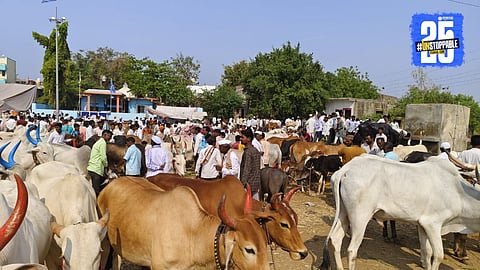 Livestock Market