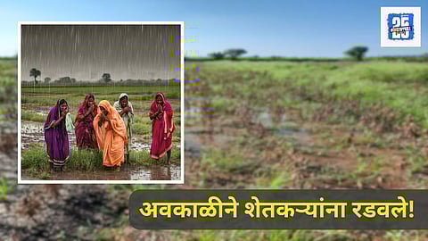 Farmers crop loss due to unseasonal rain