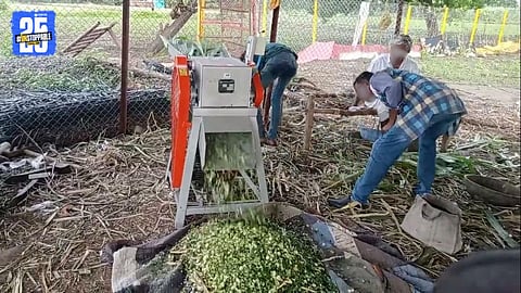 Kadaba Kutti Machine