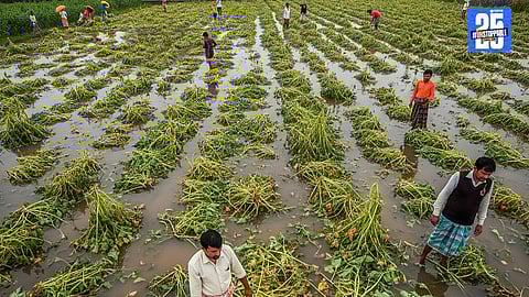 Akola Monsoon Update