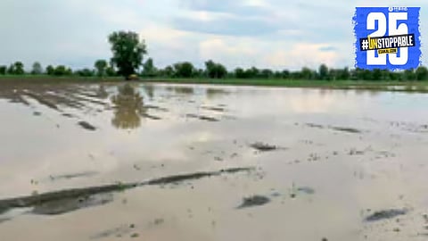 Collapsed embankments and destroyed orchards after a storm lash rural farming areas.
