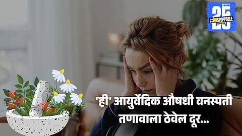 Best Ayurvedic herbs for stress and anxiety relief