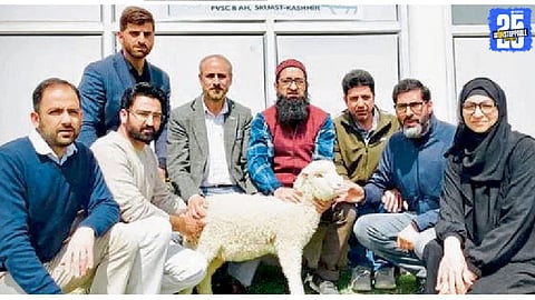 SherE Kashmir University