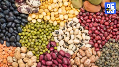 Agriculture officers inspecting seed shops in Shirol to curb the sale of counterfeit seeds