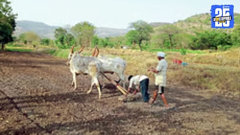 Farmers busy with ploughing and seed arrangements after pre-monsoon showers in rural areas