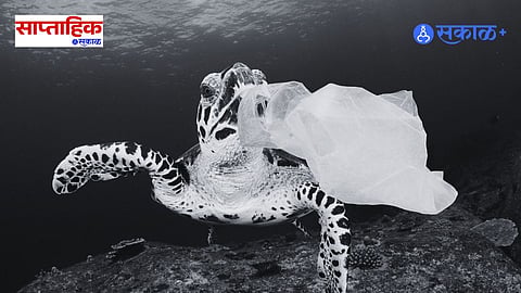 Microplastic effect on health