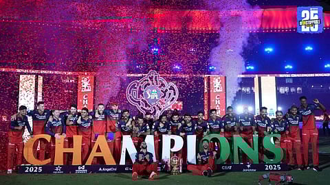 royal challengers bengaluru champions