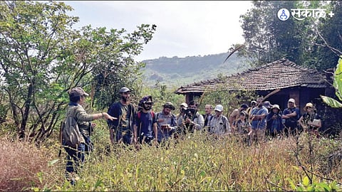 Environmental Awareness
