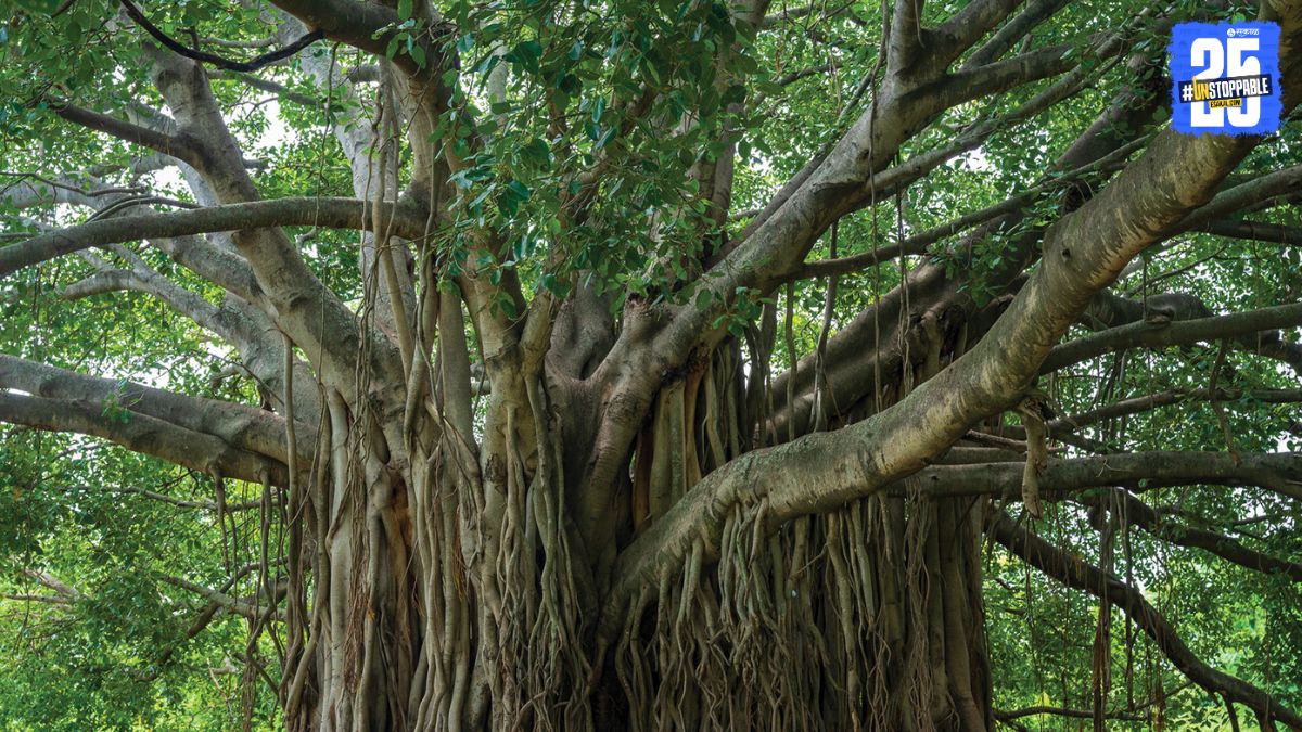 Environment Protection 