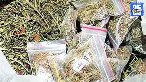 drug case