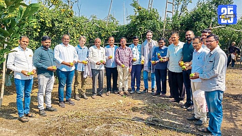 vanoja village orange fruit