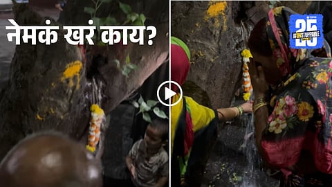 Crowd gathers around a Gulmohar tree in Pimpri as water mysteriously leaks from its trunk, later confirmed as pipeline damage by PMC officials.