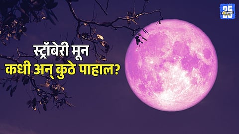 Strawberry Moon 2025