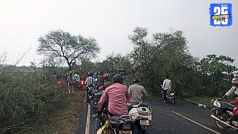 Bhandara and Yavatmal lashed by thunderstorm; power lines down, trees uprooted, and agricultural fields damaged.