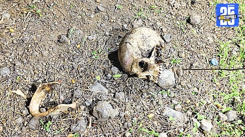 Skeletal remains found in Digras farmland near Ramnagar; police begin probe into the mysterious discovery.