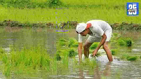 Pending Drip Irrigation