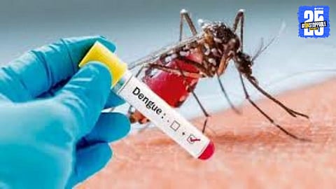 Dengue Treatment