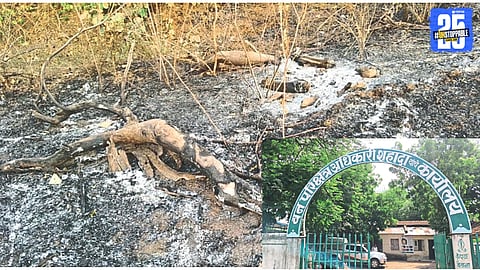Khaparkheda forest fire