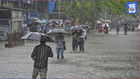 rajgad taluka area rain water