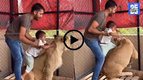 A shocking moment from the viral video where a father places his young child on a lion's back, drawing widespread criticism over child and animal safety concerns.