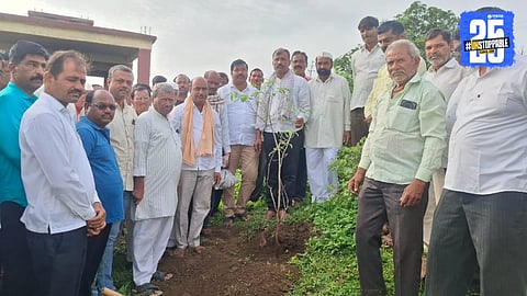 Tree Plantation in solapur