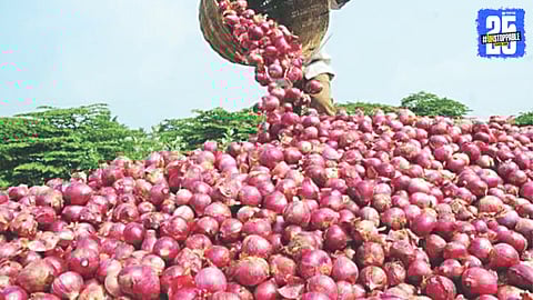 Onion Production