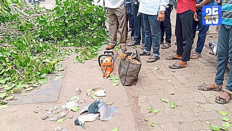 Tragic scene near Karnala check post as machines destroy trees and birds; officials under scrutiny.