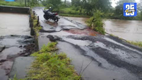 No Cleaning, No Care: Trees Grow on Shelke Bridge, Wall Foundation at Risk