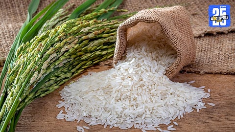 Basmati Rice 