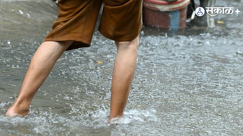 Natural disaster economic impact