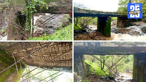 Sudhagad bridge