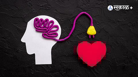 brain and mind connection