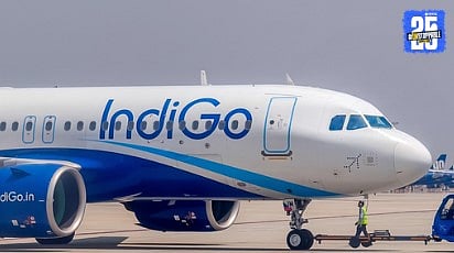 indogo