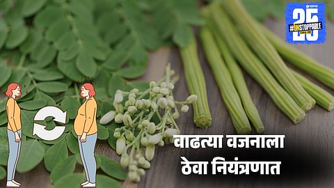 Moringa water for weight loss during monsoon

