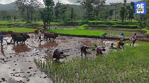 With Climate Shift, Time for a Change in Agricultural Mindset