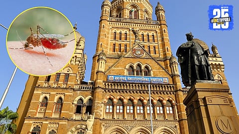 Mumbai Malaria Patient