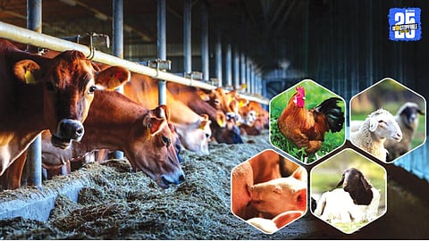 Livestock