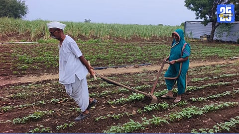 farme vaidyanath and satyabhama suryavanshi agriculture work by Hand