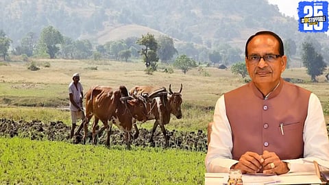 Union Agriculture Minister Shivraj Singh Chouhan announces new pesticide centres to support farmers across India under Modi government’s latest agricultural initiative.

