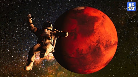 Largest Martian meteorite sale NWA 16788 Sotheby's auction 2025