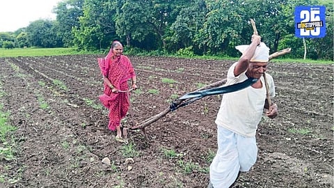 Agriculture News