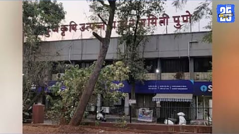 pune market committee