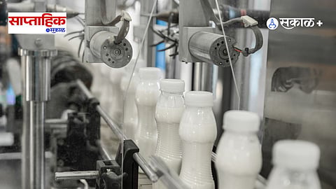 milk production in maharashtra